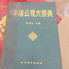 中国公司大词典