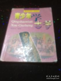 青少年学古筝 青少年学音乐系列书