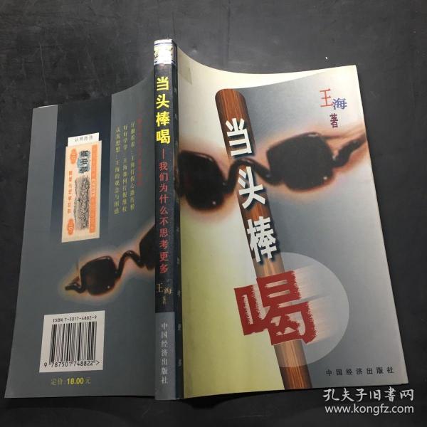 当头棒喝 我们为什么不思考更多内页干净 无笔记王海 著 中国经济出版社