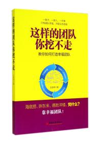 全新正版 这样的团队你挖不走(教你如何打造幸福团队) 王前师 9787513630474 中国经济