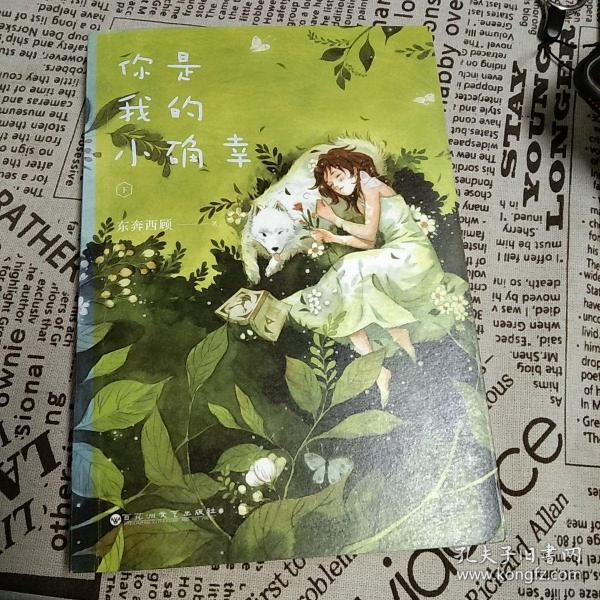 你是我的小确幸 下东奔西顾 著/ 百花洲文艺出版社/ 2017-04/ 平装