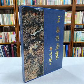 王敬恒画集（带函套 硬精装 8开）一版一印 3000册 库存书