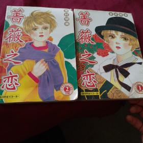 蔷薇之恋（1 2完结）2册合售 无光盘