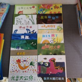 幼儿园早期阅读资源（13本合售）