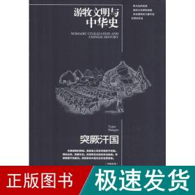 突厥汗国 中国历史 刘学铫 新华正版