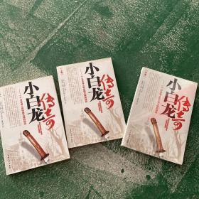 小白龙传奇:一个日本浪人在中国大陆的经历【上中下】