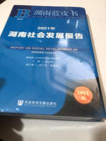 2021年湖南社会发展报告(2021版)/湖南蓝皮书
