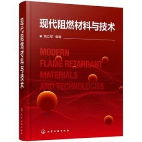 现代阻燃材料与技术(精)