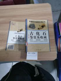 中国民间收藏实用全书：古化石鉴赏及收藏