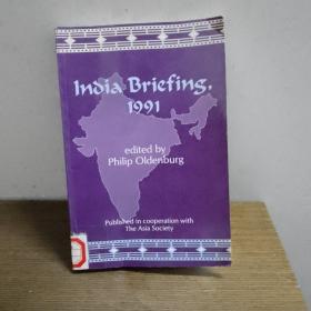 India Briefing 1991 1991年印度简报会