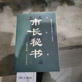 市长秘书