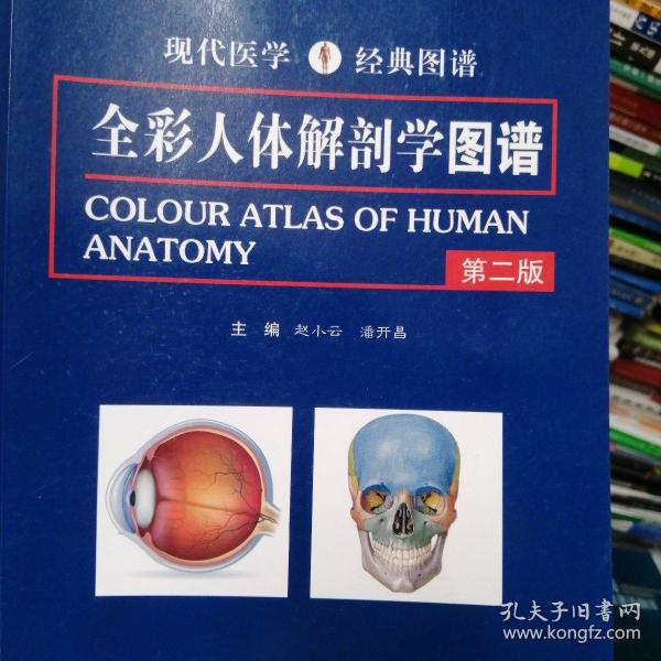 全彩 人体 解剖学 图谱
