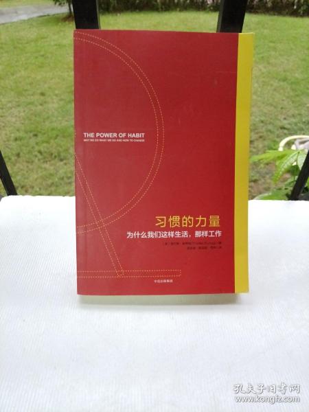 习惯的力量：为什么我们会这样生活，那样工作