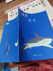 大艺术家写给小朋友的动物书 鲨鱼
