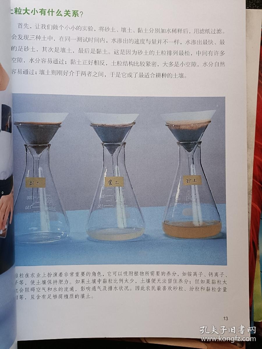 牛顿电动牙刷