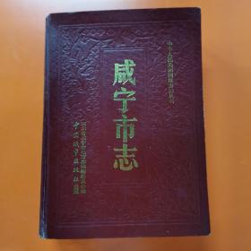 咸宁市志