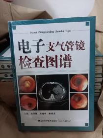 电子支气管镜检查图谱（精装16开）【原包库存书籍 正版全新未开封】（9）