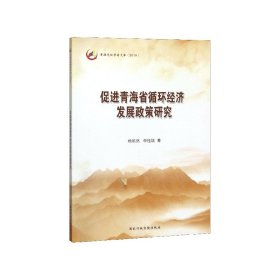 促进青海省循环经济发展政策研究(2019)/青海党校学者文库