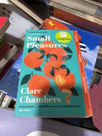 现货英文原版Small Pleasures小欢愉Clare Chambers克莱尔钱伯斯 9781474613903