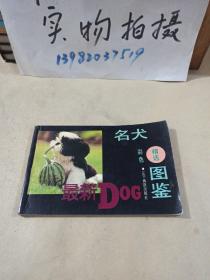 名犬精选彩色图鉴