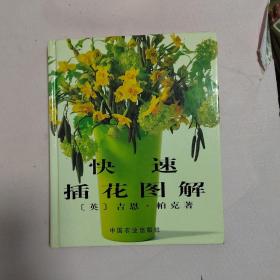 快速插花图解