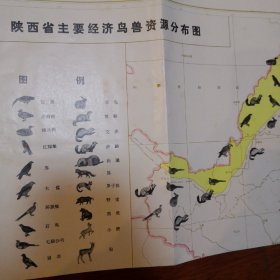 陕西省主要经济鸟兽资源分布图