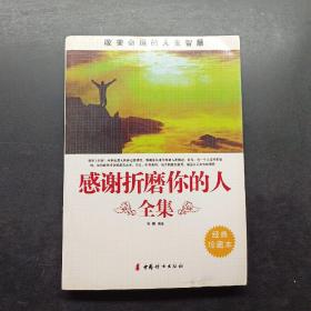 感谢折磨你的人全集，