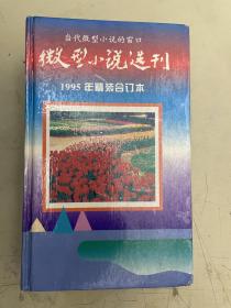 中国微型小说选刊  1995年1——12期 合订本  精装