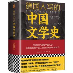 德国人写的中国文学史 外国文学理论 (德)施寒微 新华正版