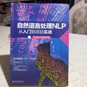 自然语言处理NLP从入门到项目实战：Python语言实现