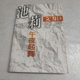 池莉文集5 午夜起舞