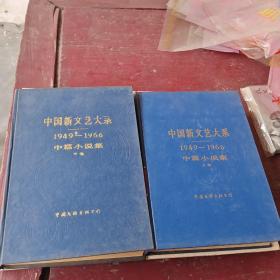 中国新文艺大系1949一1966中篇小说集上下卷