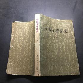 中国文学简史 上册