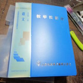 教学投影片 语文 九年级上册