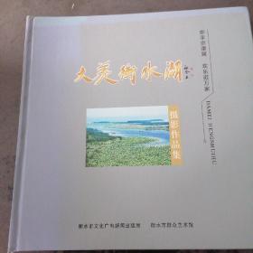 大美衡水湖摄影作品集