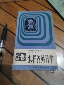 怎樣養好月季
