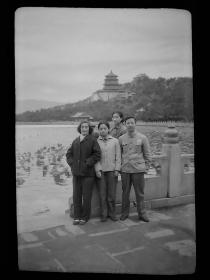 【老底片X01482】《文革颐和园全家照》曹氏姐妹系列底片，135黑白负片底片一张