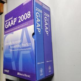 International GAAP2008