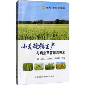 正版书小麦规模生产与病虫草害防治技术
