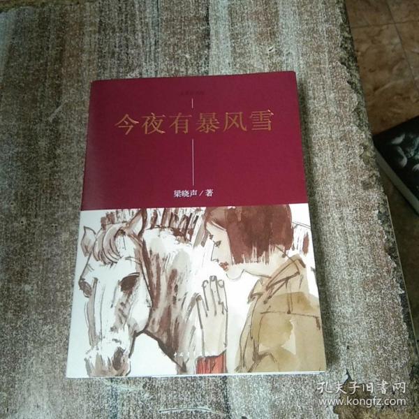 今夜有暴风雪梁晓声 著；王燕民 绘 中国青年出版社 2016 01 平装全喜书店