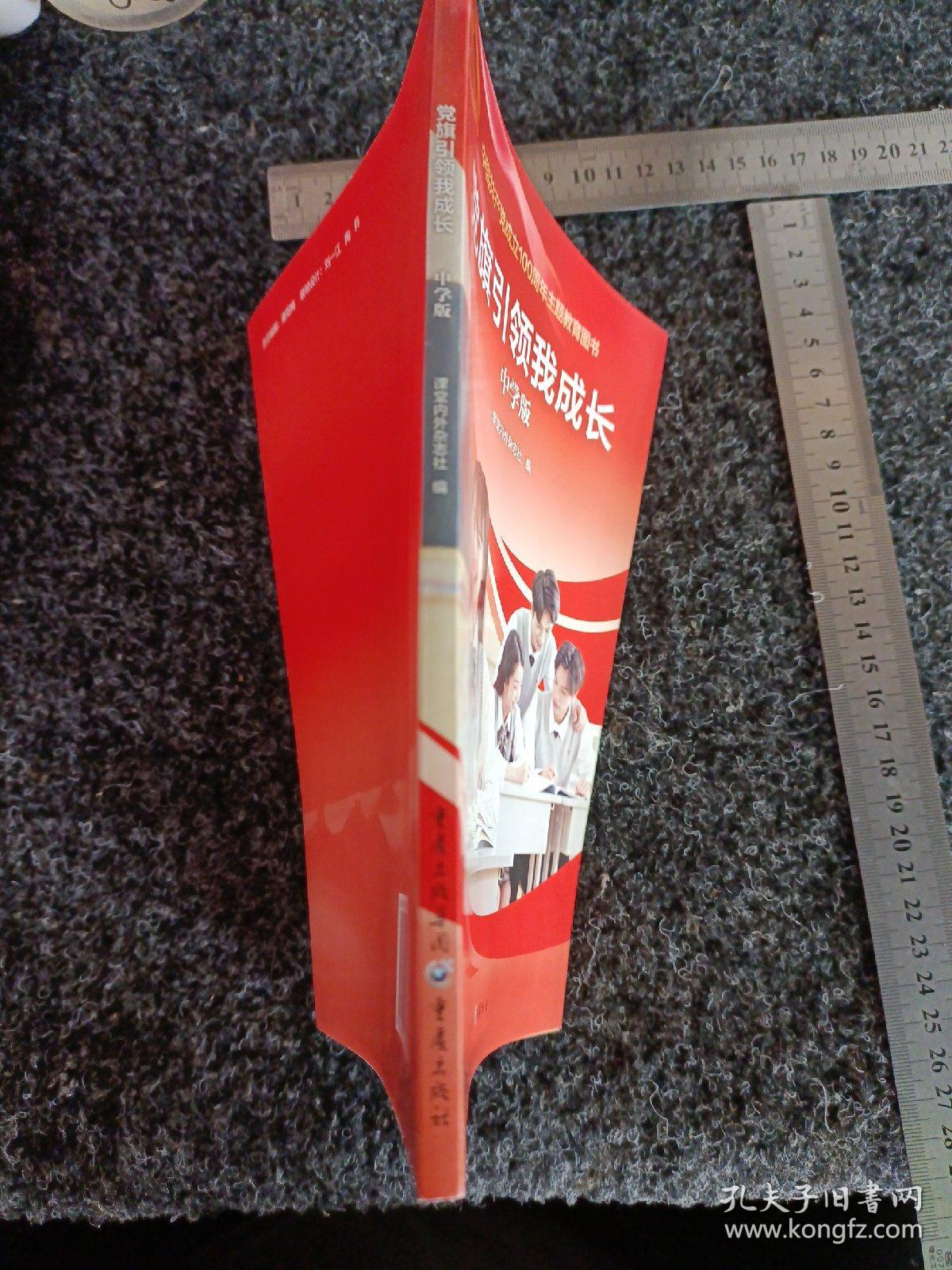 党旗引领我成长中学版