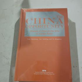 中国机遇：强国之路的中国智慧