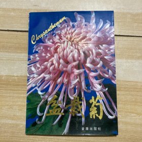 盆栽菊