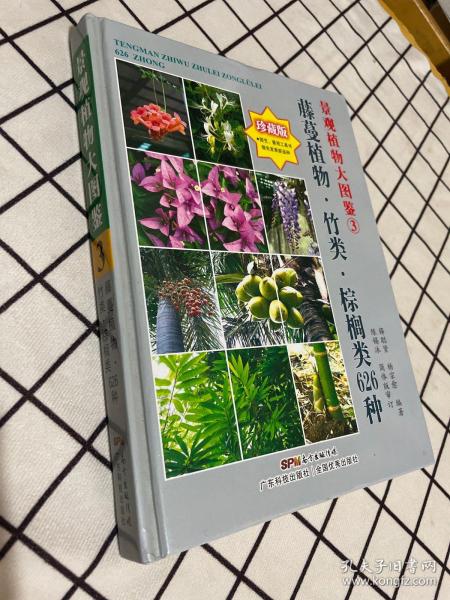 景观植物大图鉴3:藤蔓植物,竹类,棕榈类626种