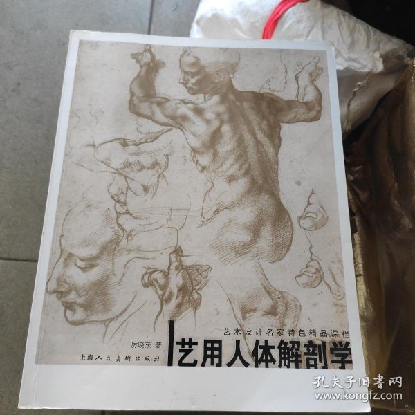 [艺用人体解剖学] 图书价格_书籍图片_网购评论_孔夫子旧书网