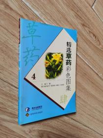 草药彩色图集4