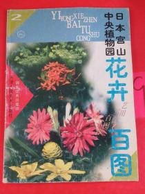日本宫山中央植物园花卉百图  以图片为准