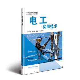 新华正版 电工实用技术 丁惠媛，宋玉霞，孟宪军 9787511641809 中国农业科学技术出版社