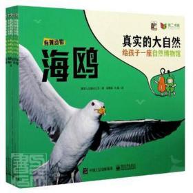 真实的大自然 有翼动物（全8册） 少儿科普 胡梅丽；（韩）与元媒体公司 新华正版