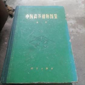 中国高等植物图鉴（第三册）